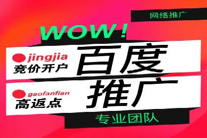 SEM运营公司成功案例分享